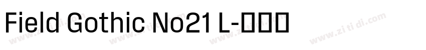 Field Gothic No21 L字体转换